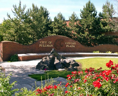 cougar plaza