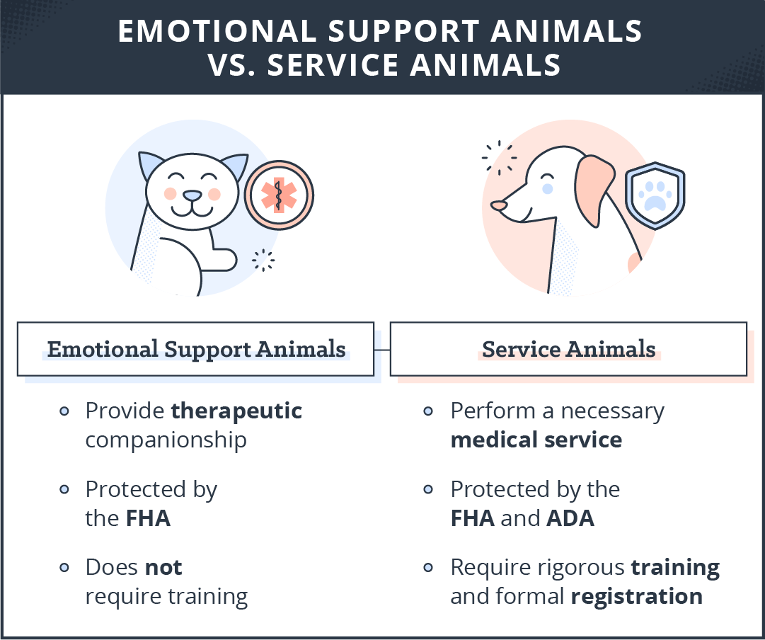 The difference between emotional support animals and service animals when it comes to renters and landlords. 