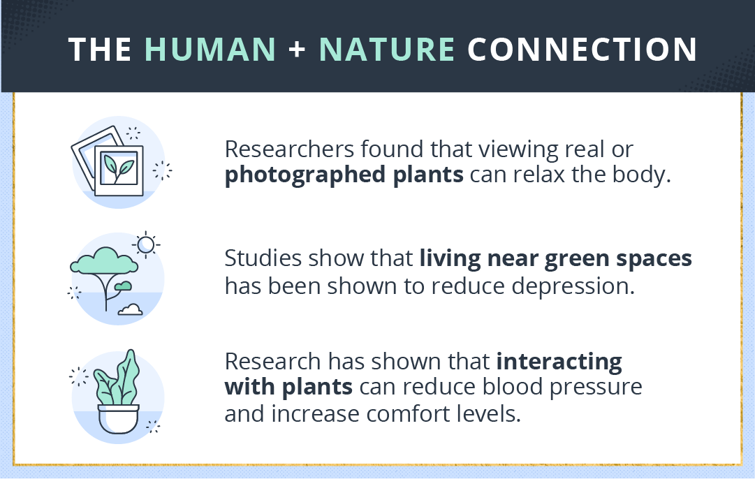 study findings on the connection between humans and nature
