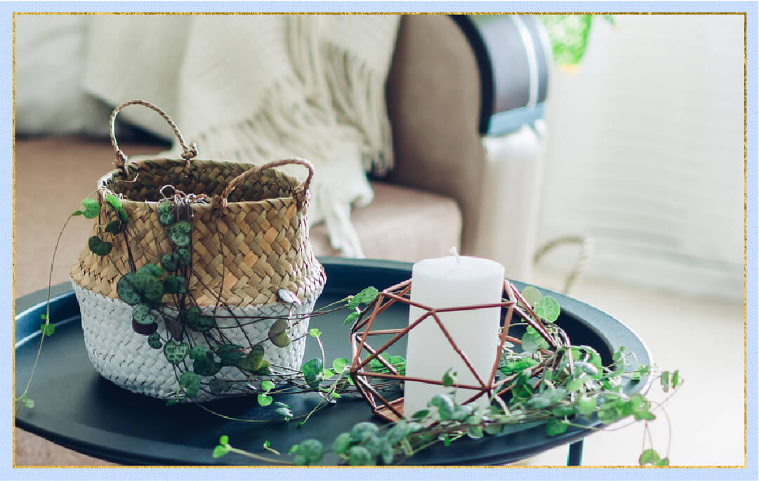 photo of rosary vine in indoor basket