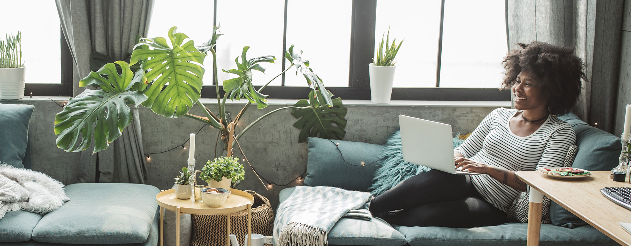 15 Winter Indoor Plants for a Happy Home