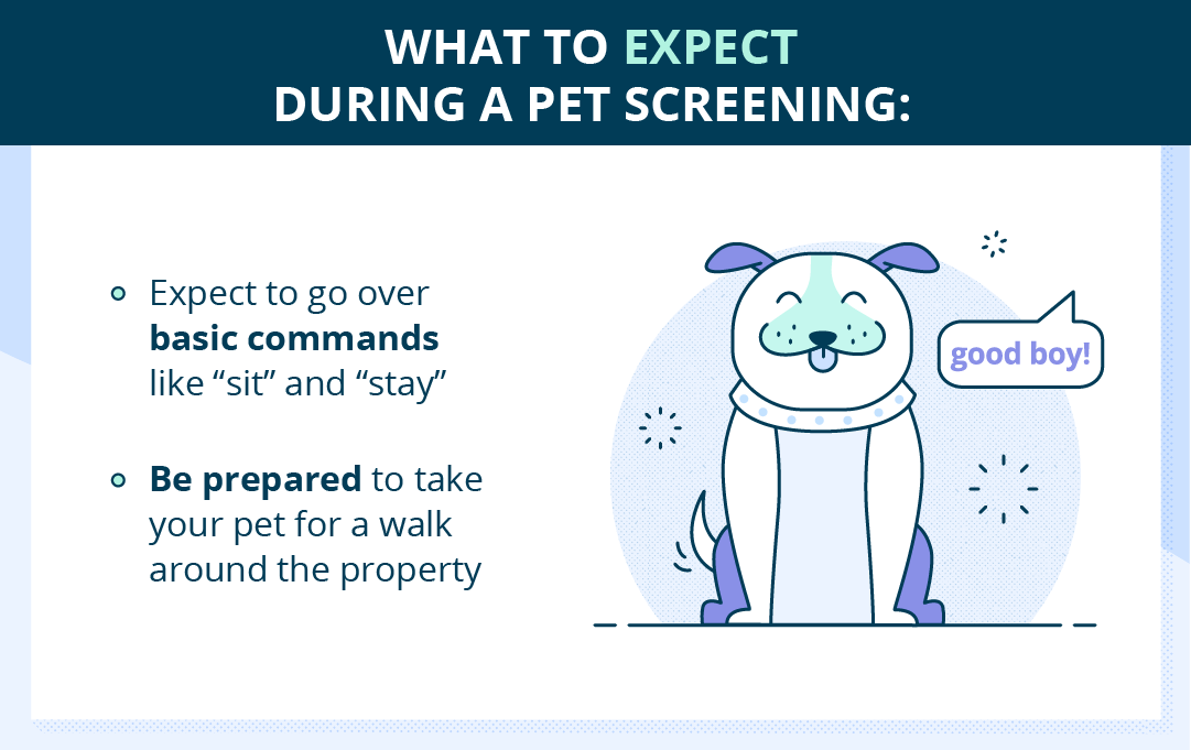 What to expect during a pet screening: if you have a dog, expect to go over basic commands like "sit" and "stay". Be prepared to take your dog for a walk around the property.