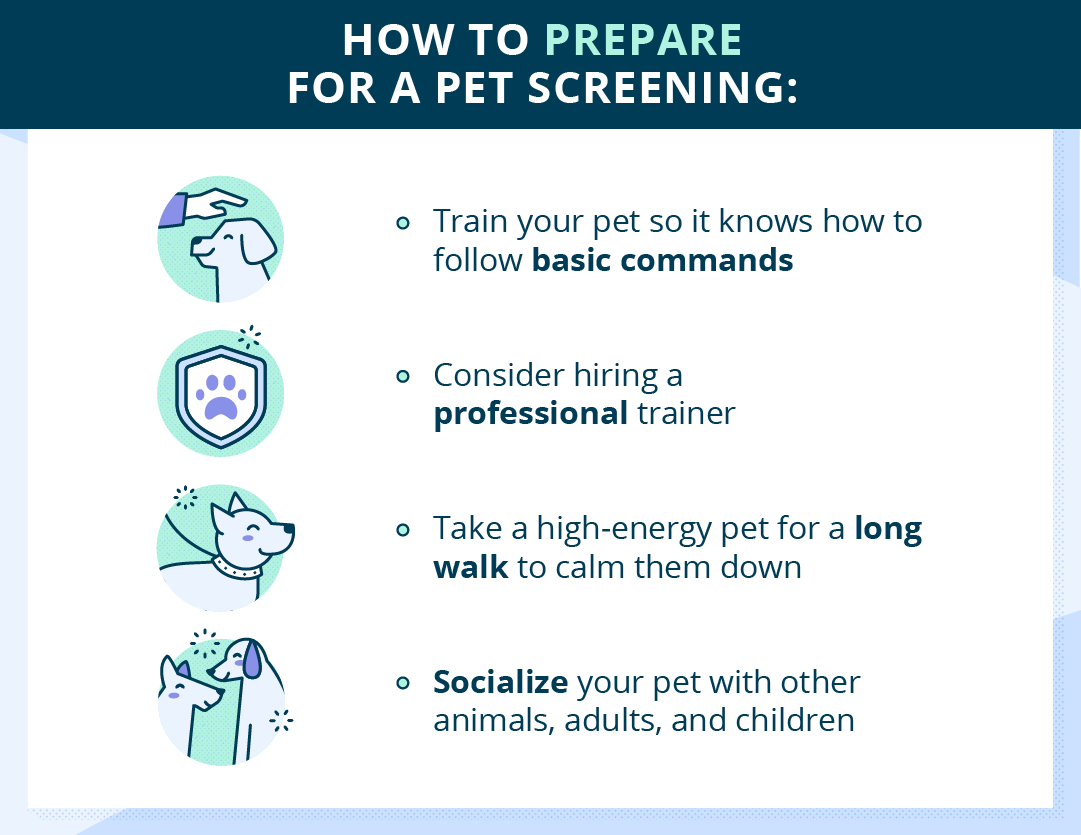 Prepare for a dog screening by training your pet so it knows how to follow basic commands, consider hiring a professional trainer, taking your high-energy pet for a long walk to calm them down, and socializing them with other animals, adults, and children.