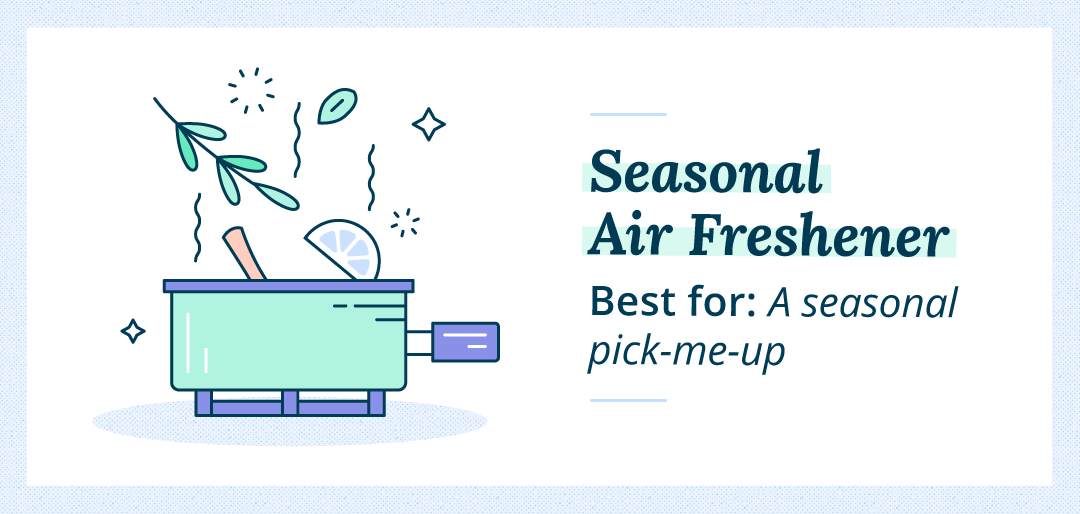 Easy Seasonal Air Freshener DIY Simmer Pot
