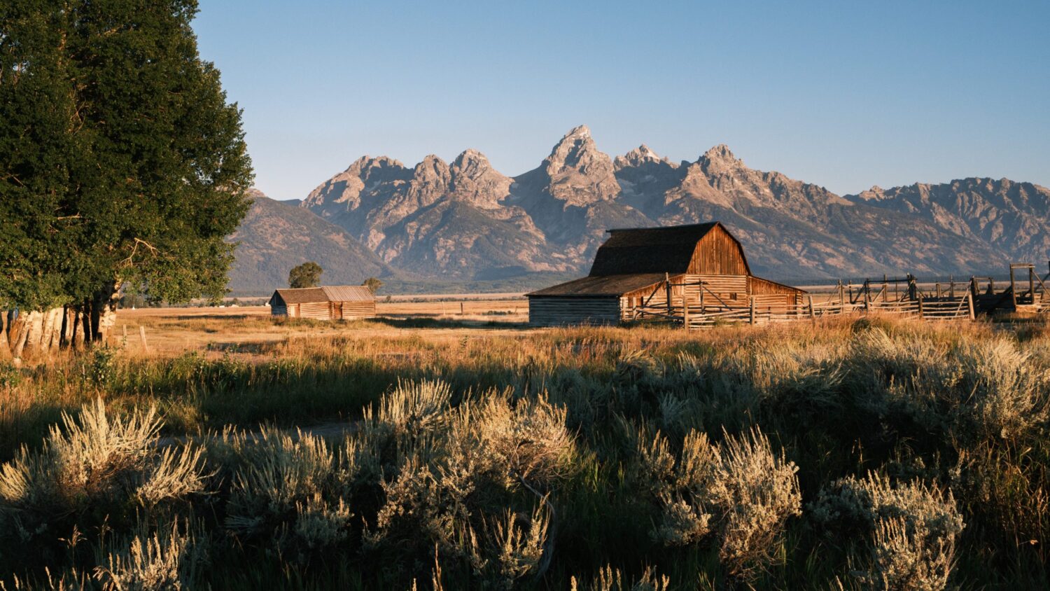 Wyoming Lease Agreements & Landlord-Tenant Law
