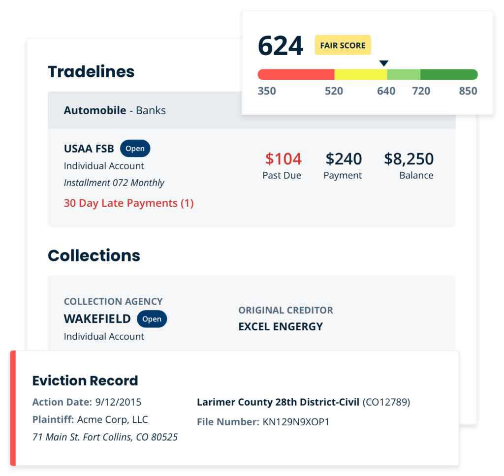 credit score, eviction records, and tradelines summary in screening report