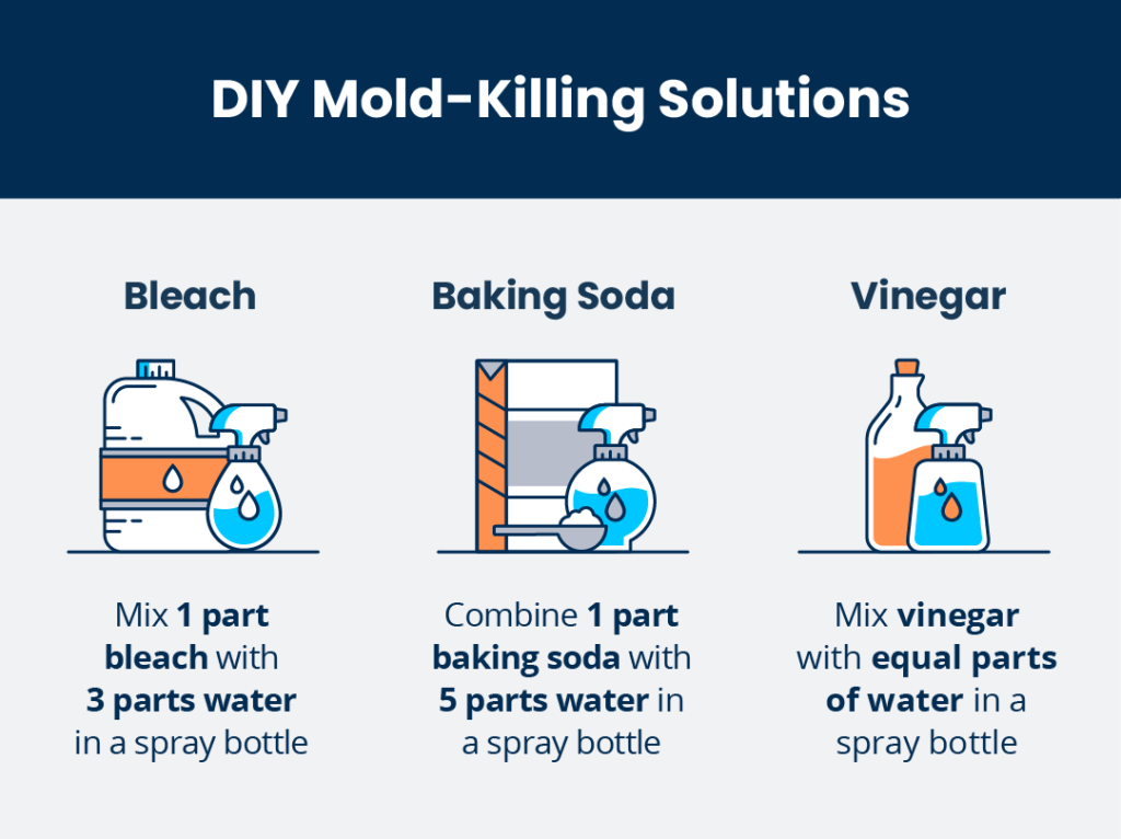 DIY Mold-Killing Solutions