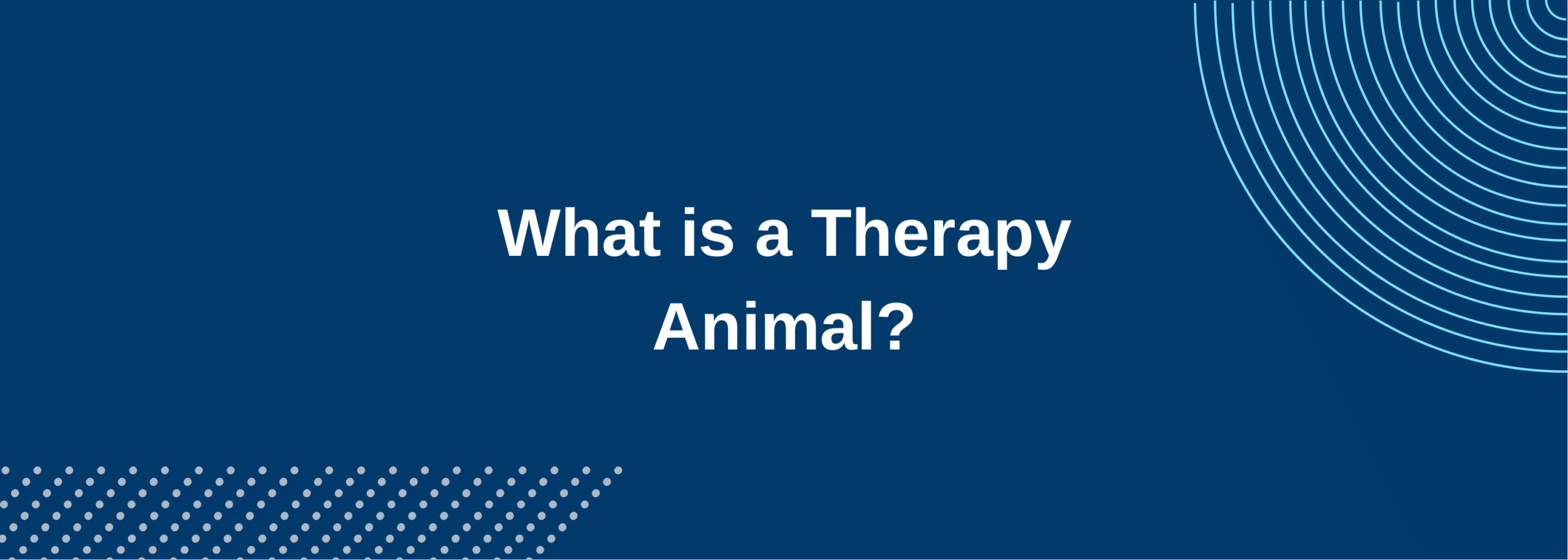 Therapy Animal