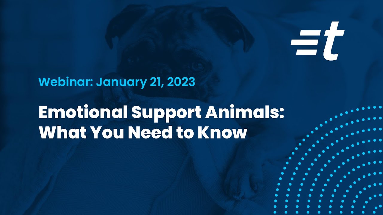 Emotional Support Animals: What You Need to Know