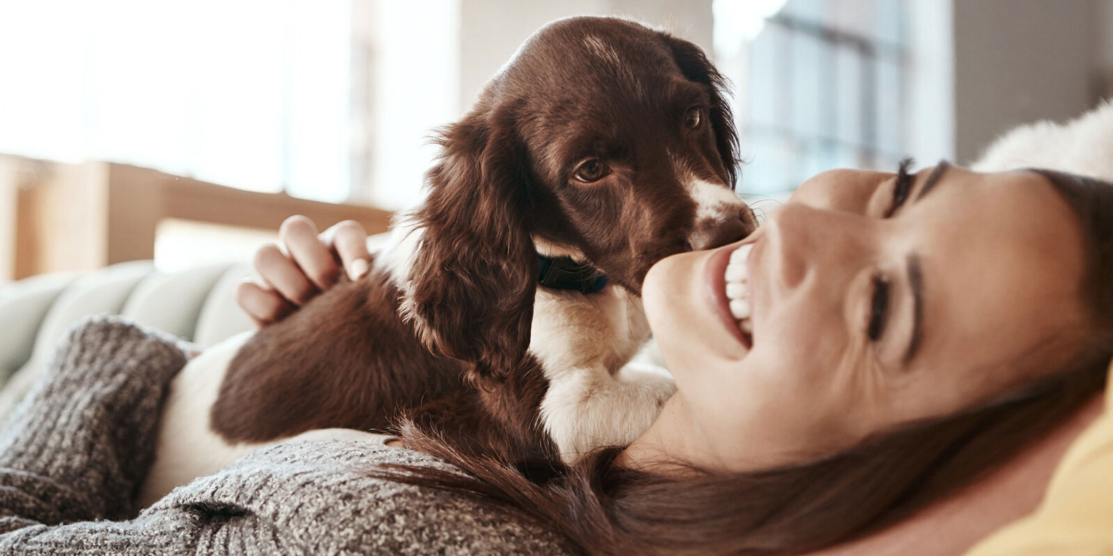 Finding Your Perfect Pooch: A Guide to the 12+ Best Apartment Dogs