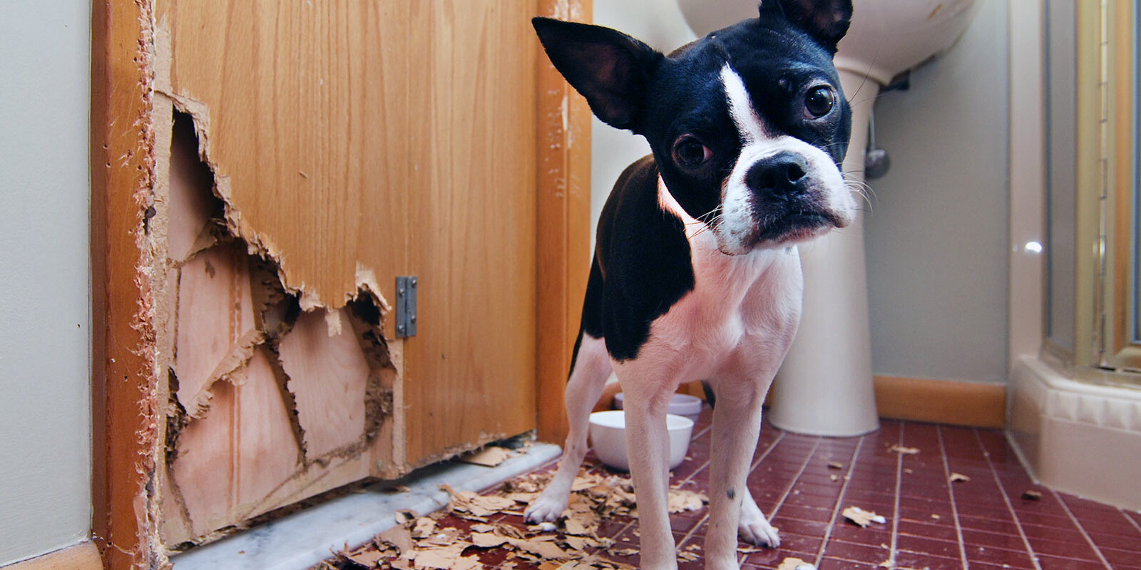 Letter to Tenant for Property Damages: When You Can Keep a Security Deposit